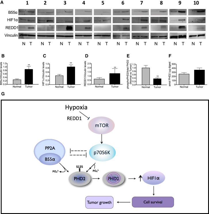 Figure 6