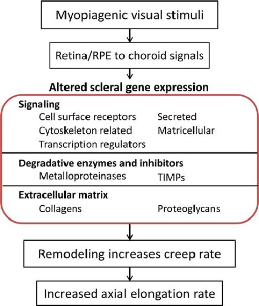 Figure 17