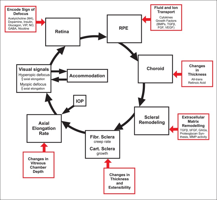 Figure 18