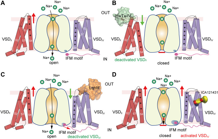 FIGURE 6