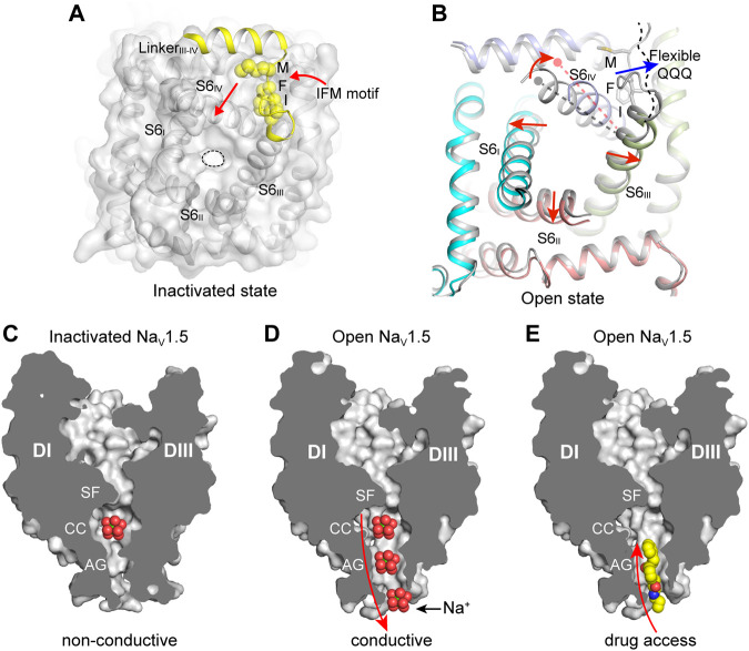 FIGURE 4