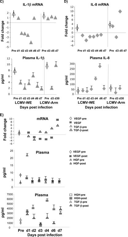 FIG. 4.