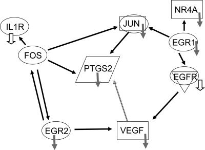 FIG. 5.