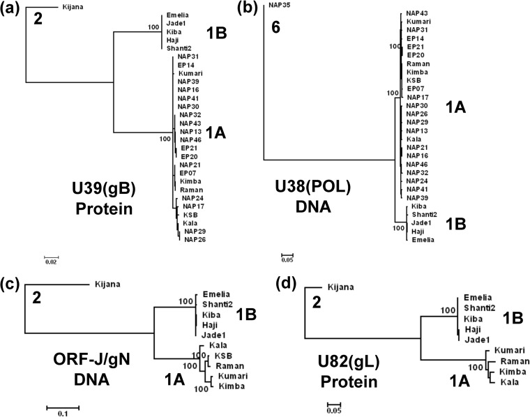 FIG 2