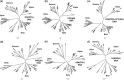 FIG 9