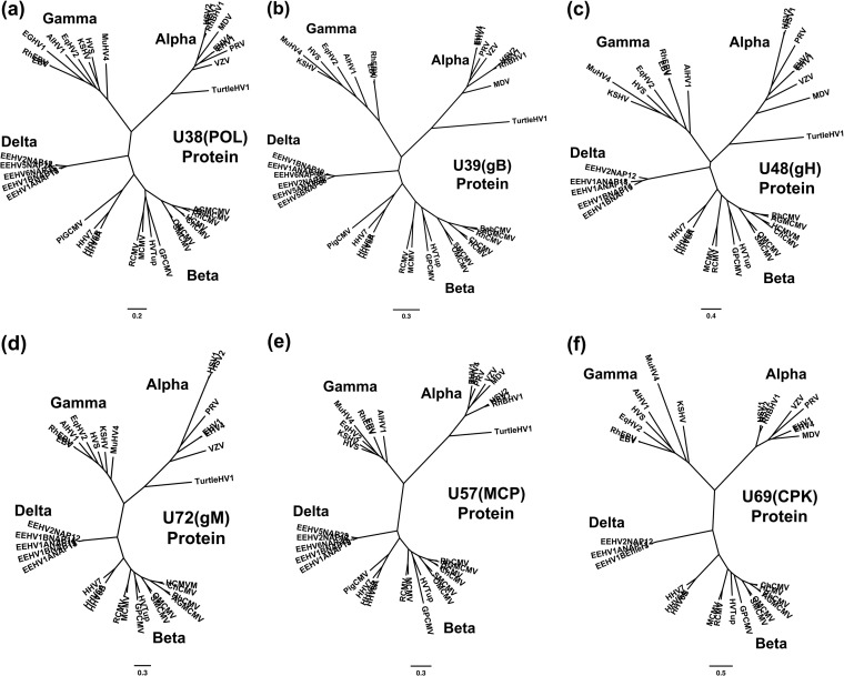 FIG 7