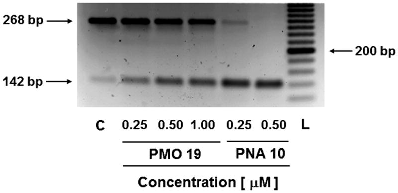 Figure 4.69.9