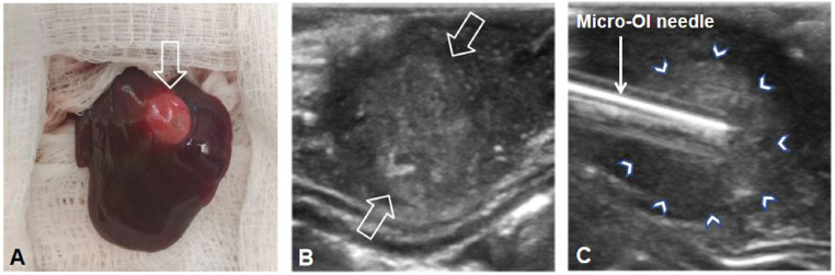 Fig. 6.