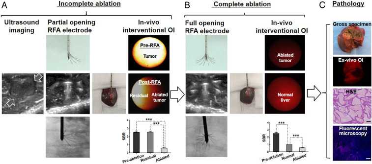 Fig. 11.