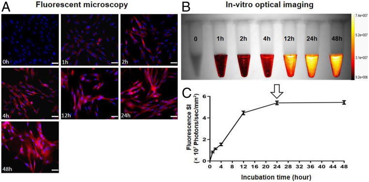 Fig. 3.