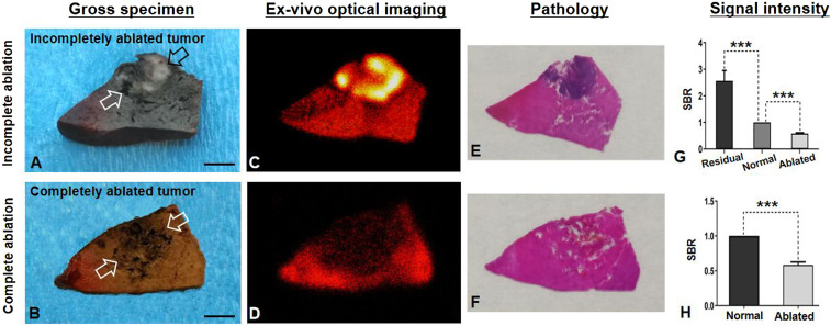 Fig. 9.