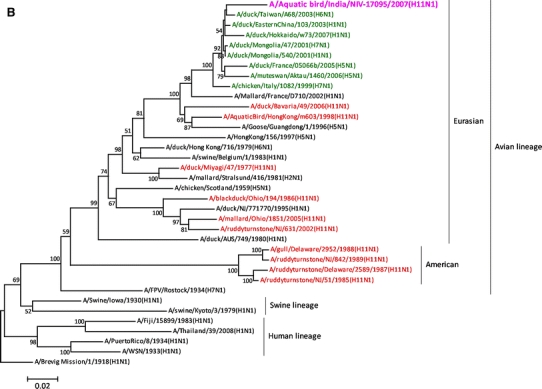 Fig. 1