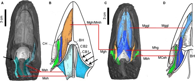 Figure 9