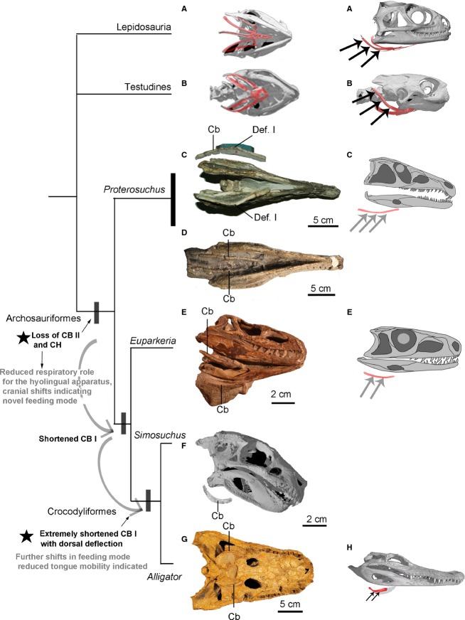 Figure 10