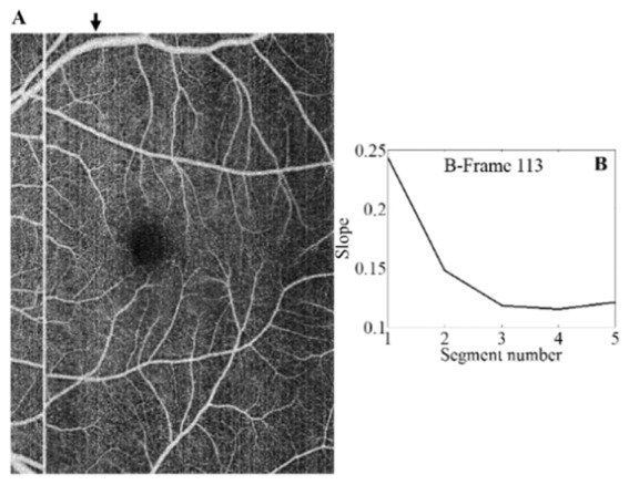 Fig. 6