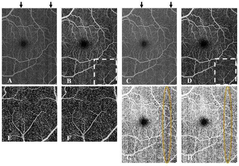 Fig. 10