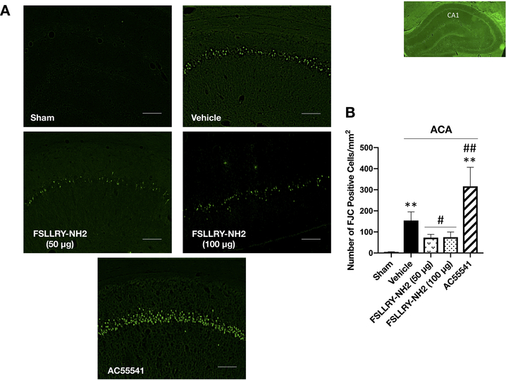 Fig. 4: