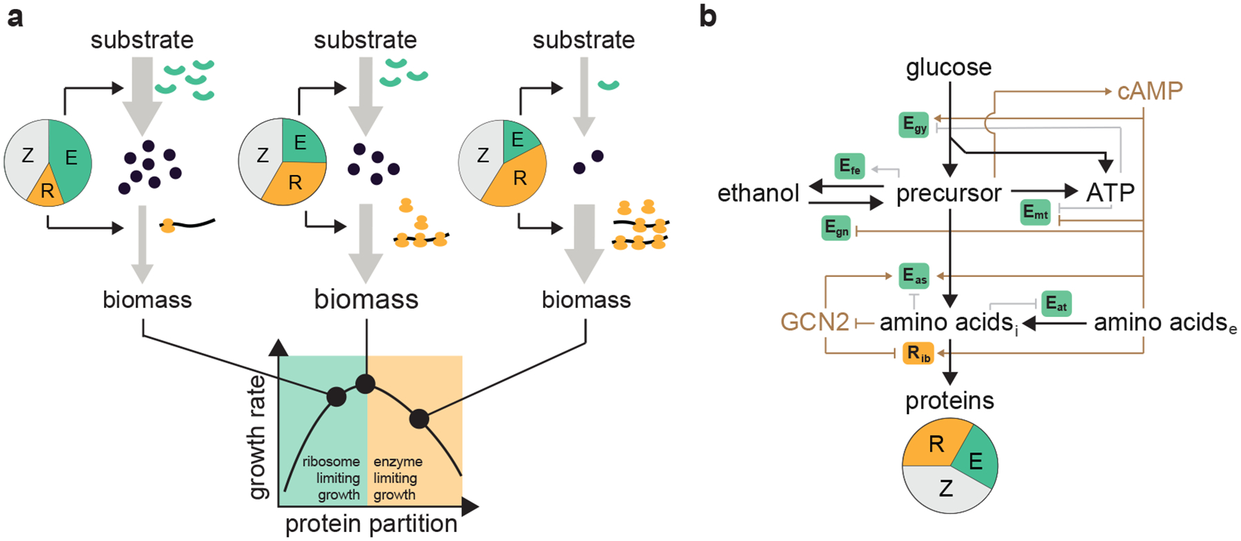 Figure 1 |