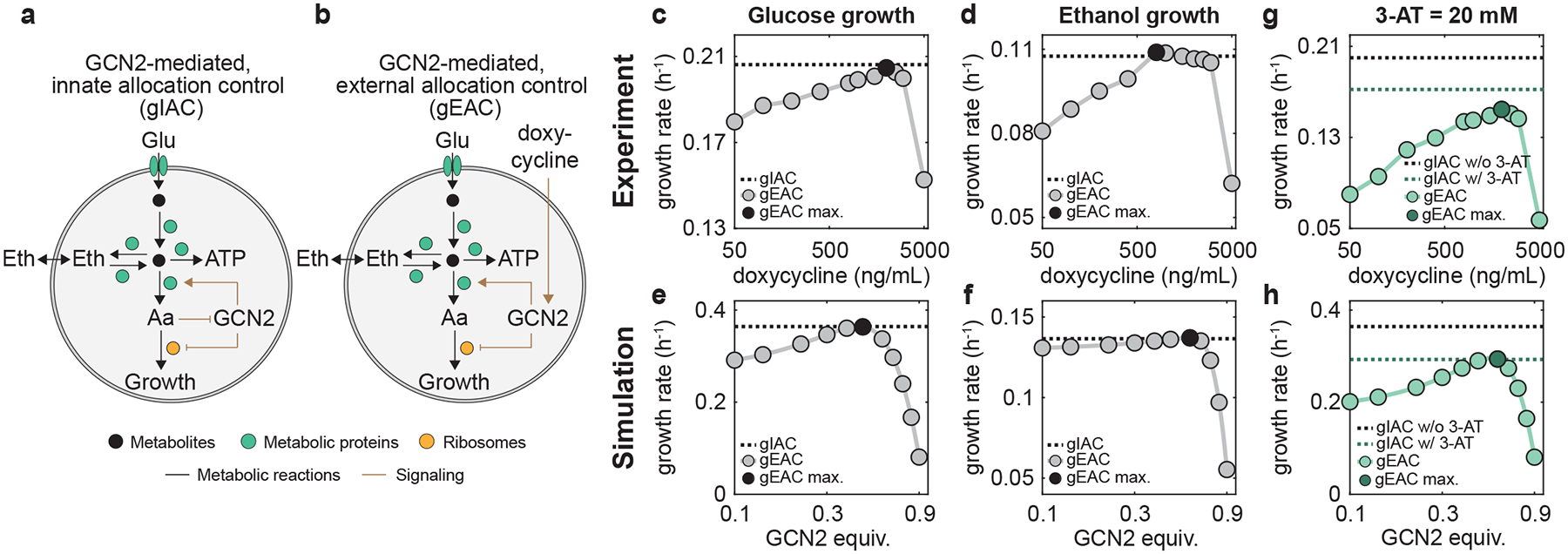 Figure 7 |