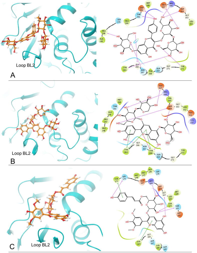 Fig. 2