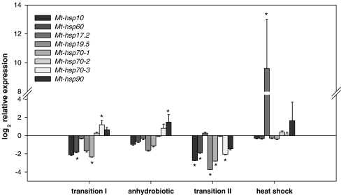 Fig. 2