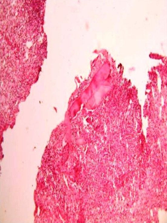 Fig. 4