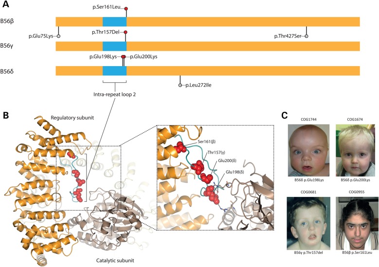 Figure 1.