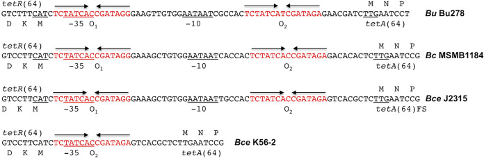 FIG 3