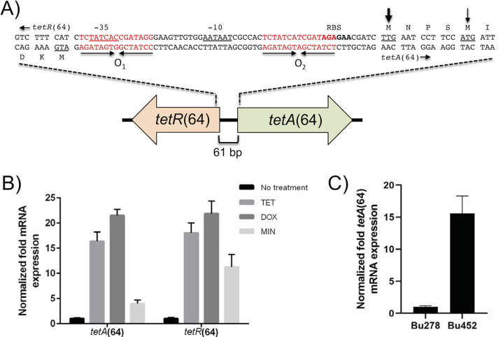 FIG 1