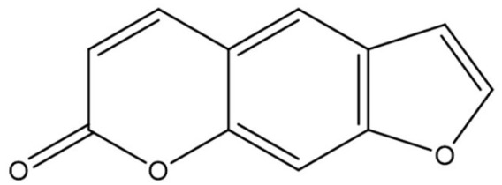 Figure 11.