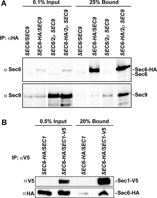 FIGURE 4: