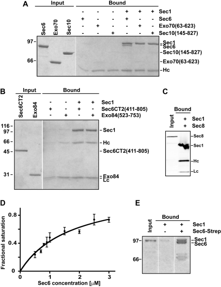 FIGURE 1: