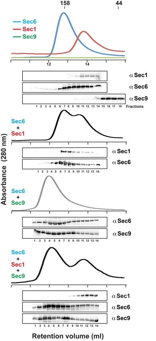 FIGURE 3: