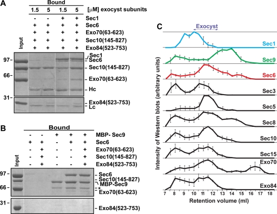 FIGURE 5: