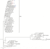 Fig 7