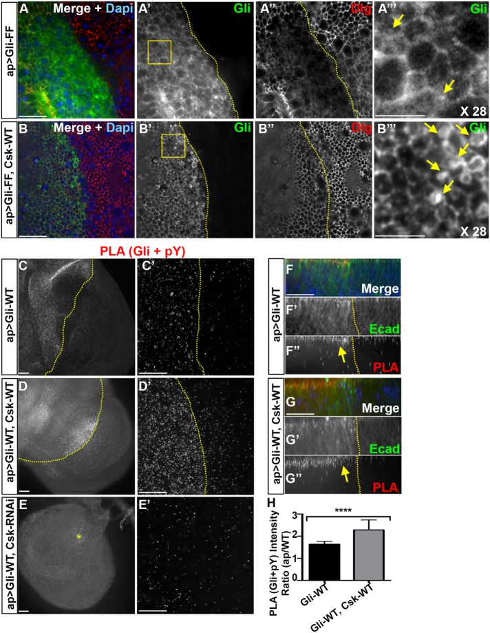 FIGURE 3: