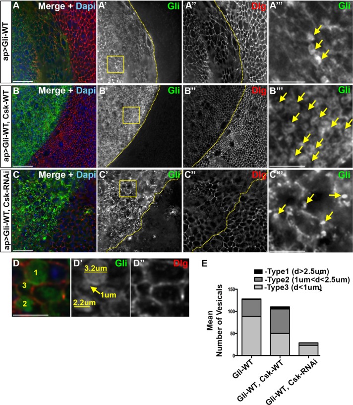 FIGURE 2: