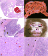 Figure 34