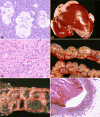 Figure 28