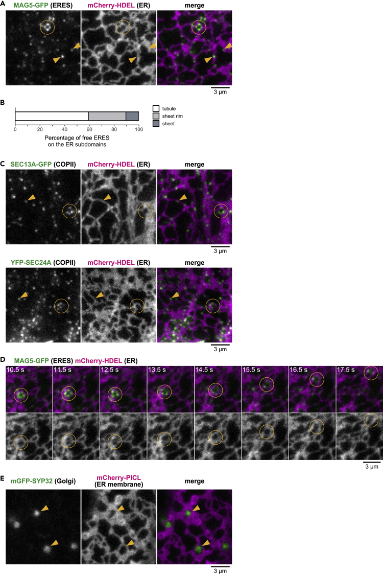 Figure 3