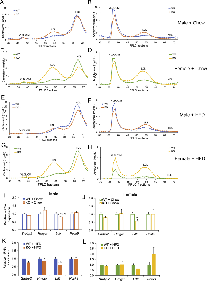 Figure 5