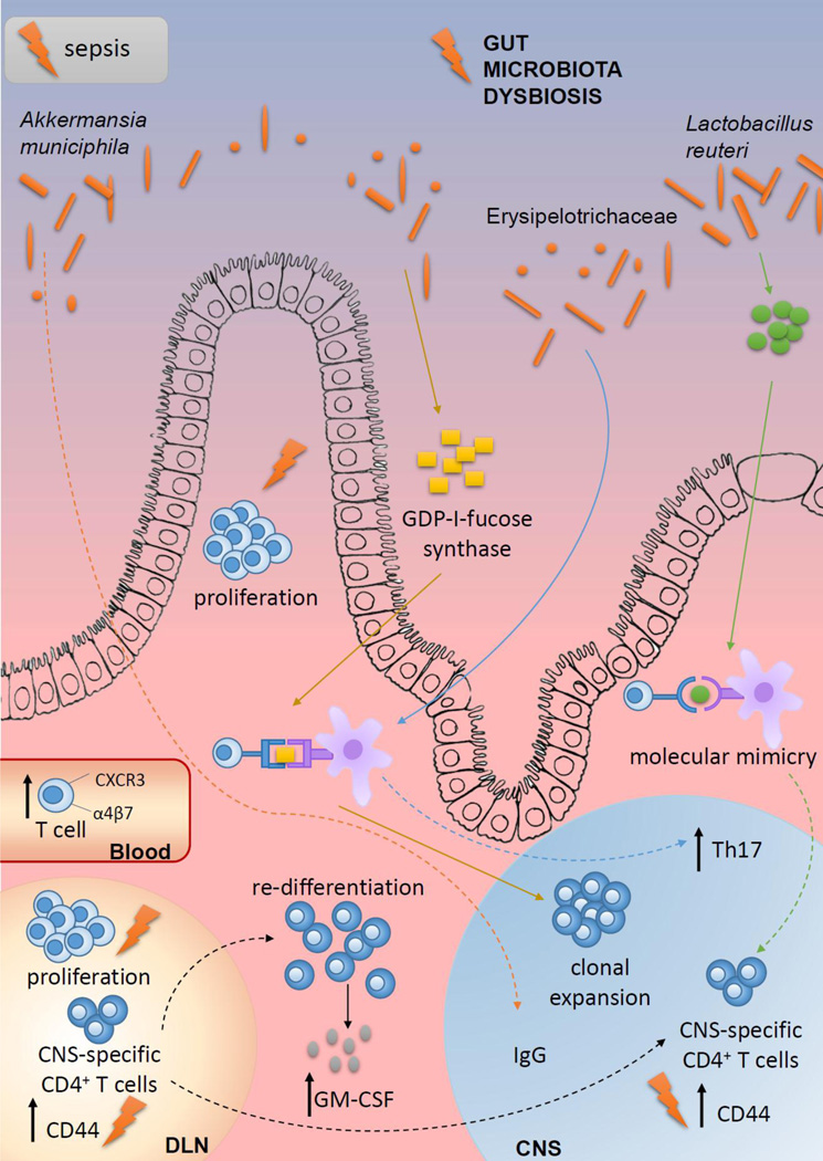 Figure 4: