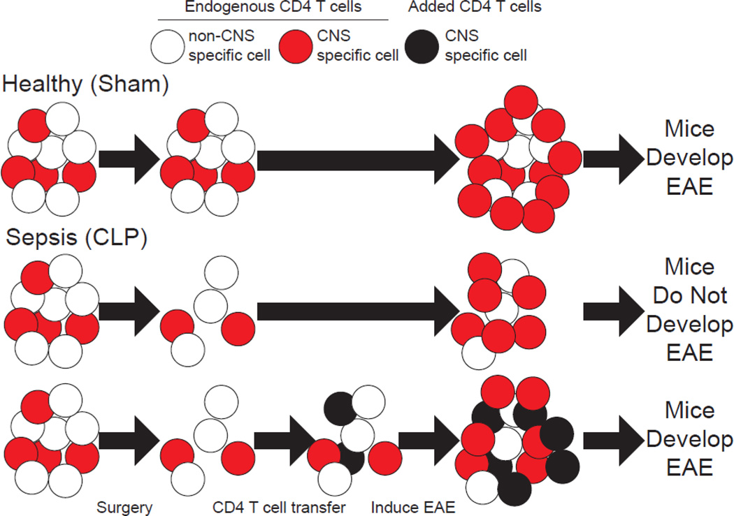 Figure 3: