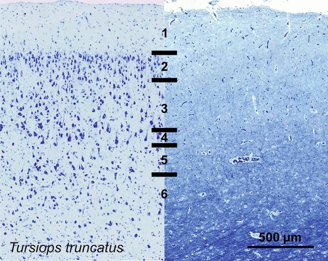 Fig. 17