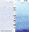 Fig. 13