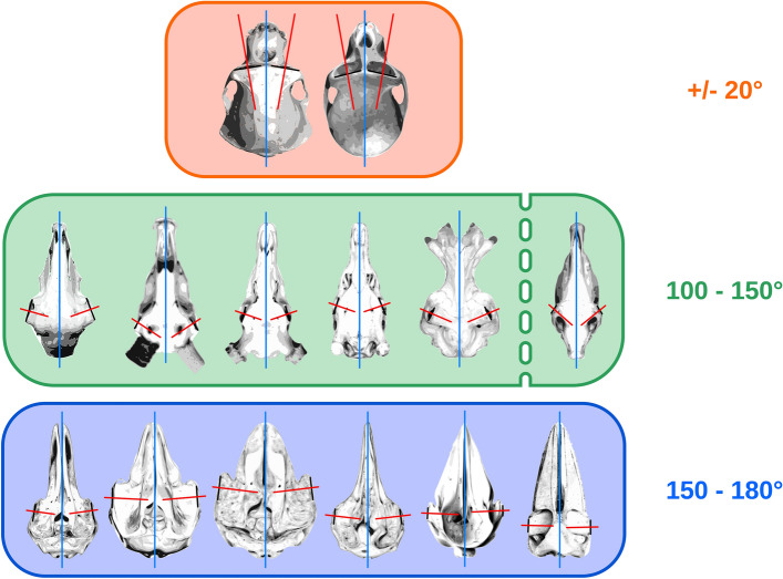 Fig. 31