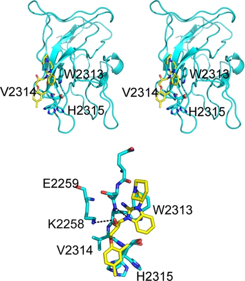 FIGURE 3.