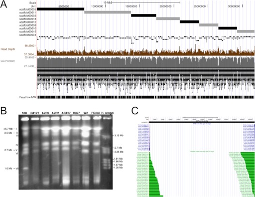 FIGURE 3