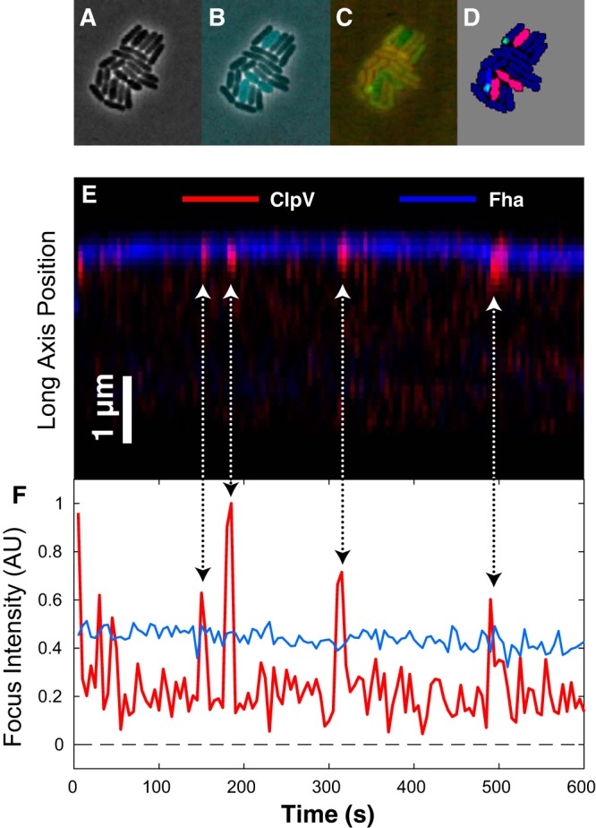 FIG 2