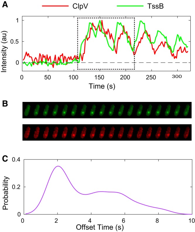 FIG 4